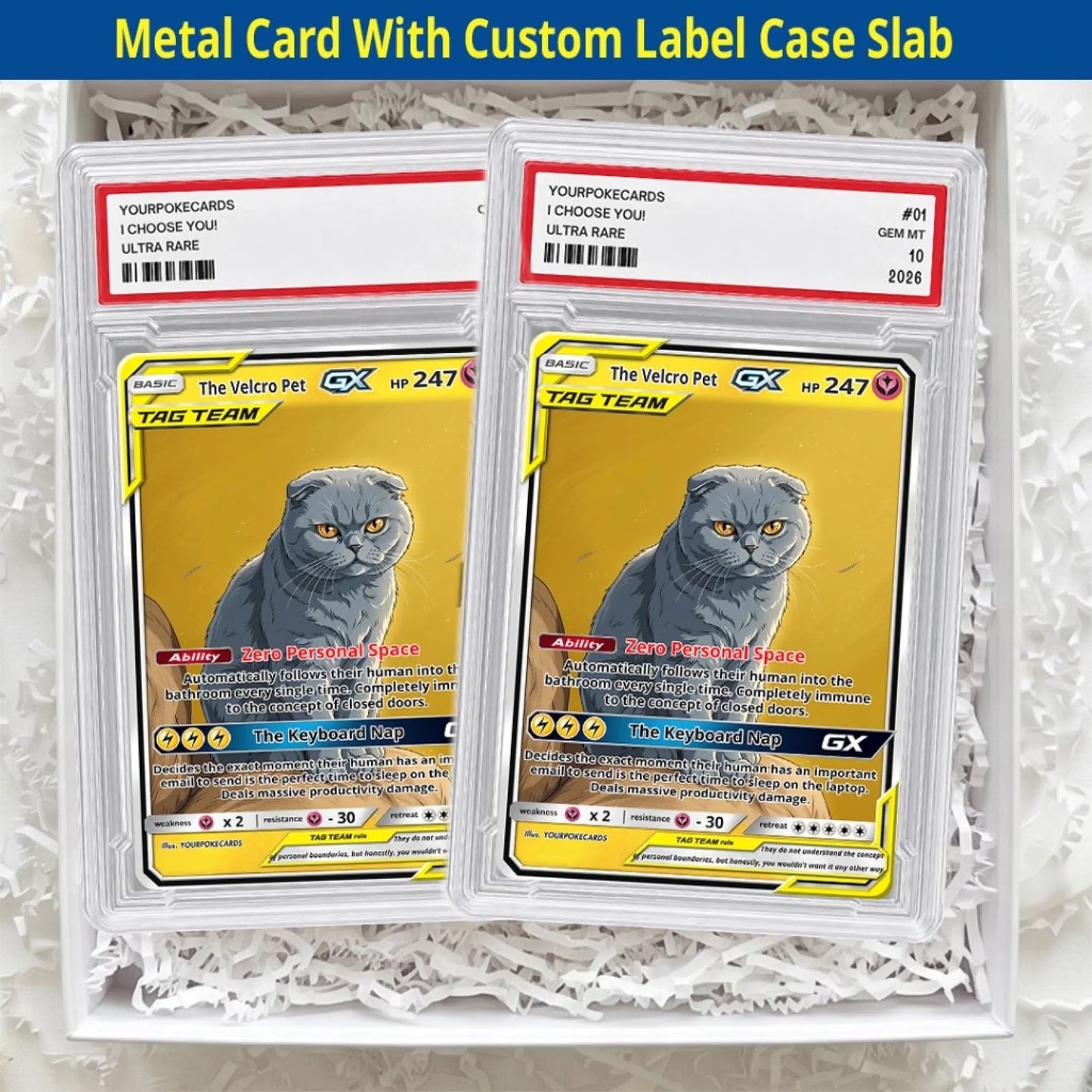 Custom Pokemon Cards Clingy Pet Gift, Personalized Pokemon Card Custom Animated Style, Customizable Pokemon Cards - YPC-58 (6)