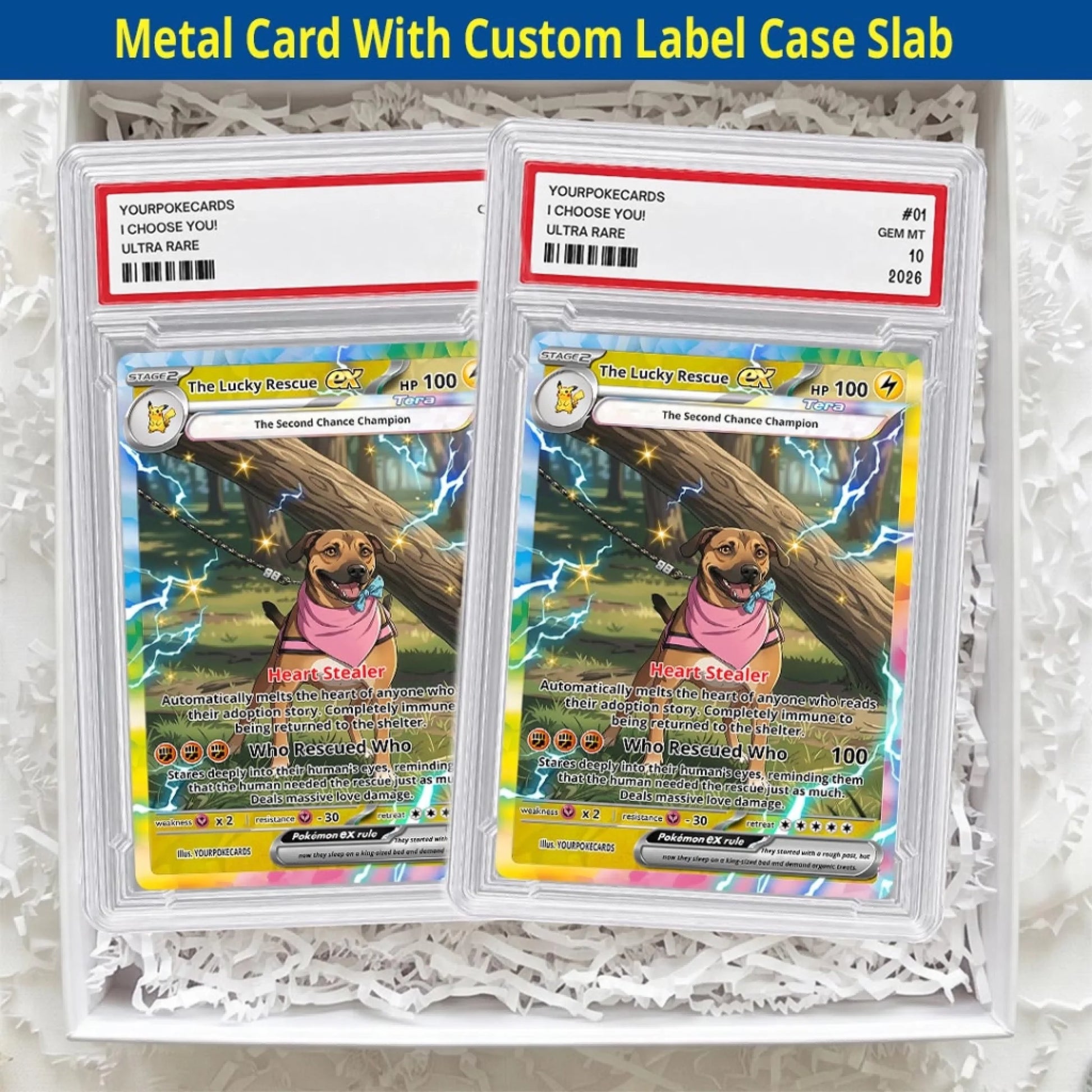 Custom Pokemon Cards Rescue Pet Gift, Personalized Pokemon Card Custom Animated Style, Customizable Pokemon Cards - YPC-56 (5)