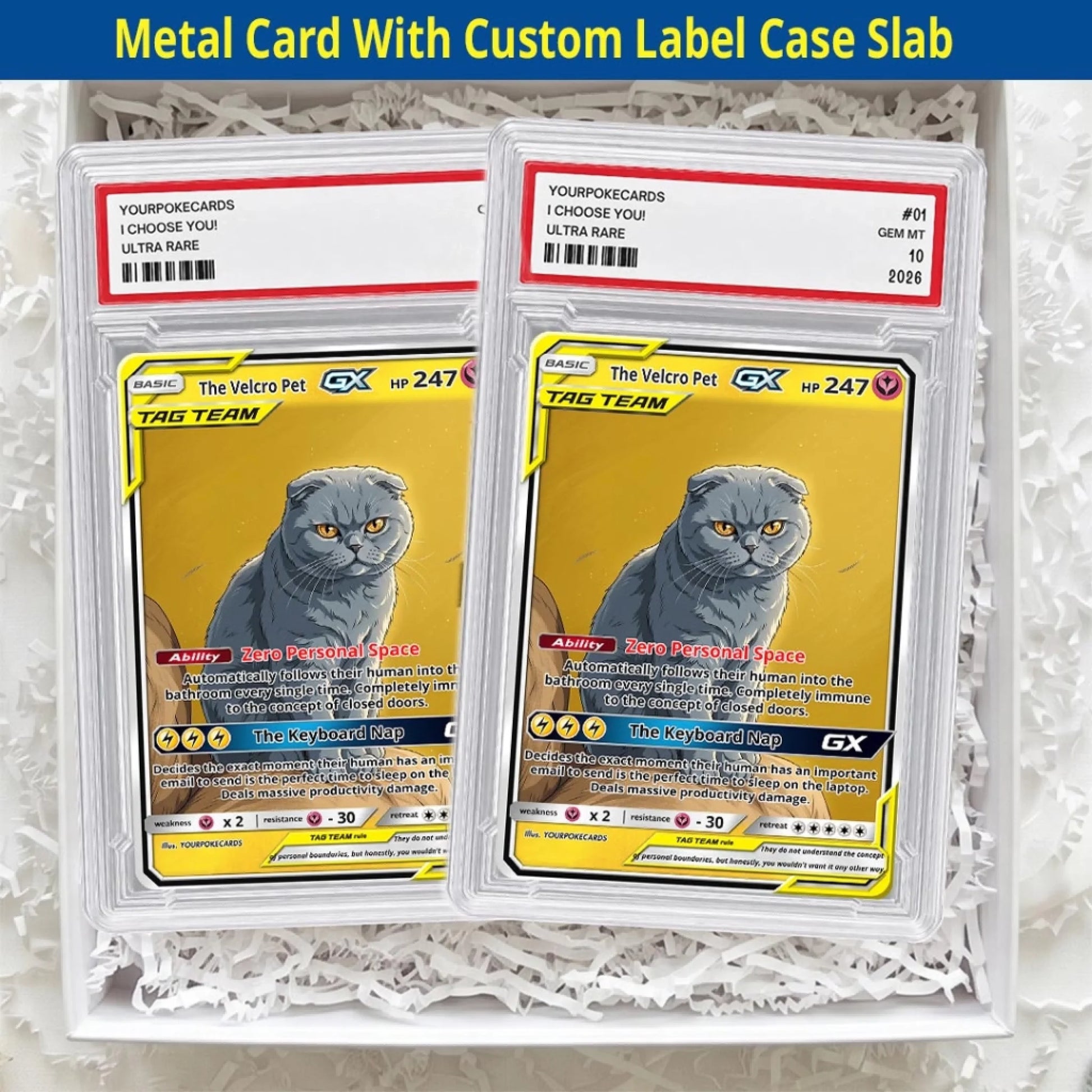 Custom Pokemon Cards Clingy Pet Gift, Personalized Pokemon Card Custom Animated Style, Customizable Pokemon Cards - YPC-58 (6)