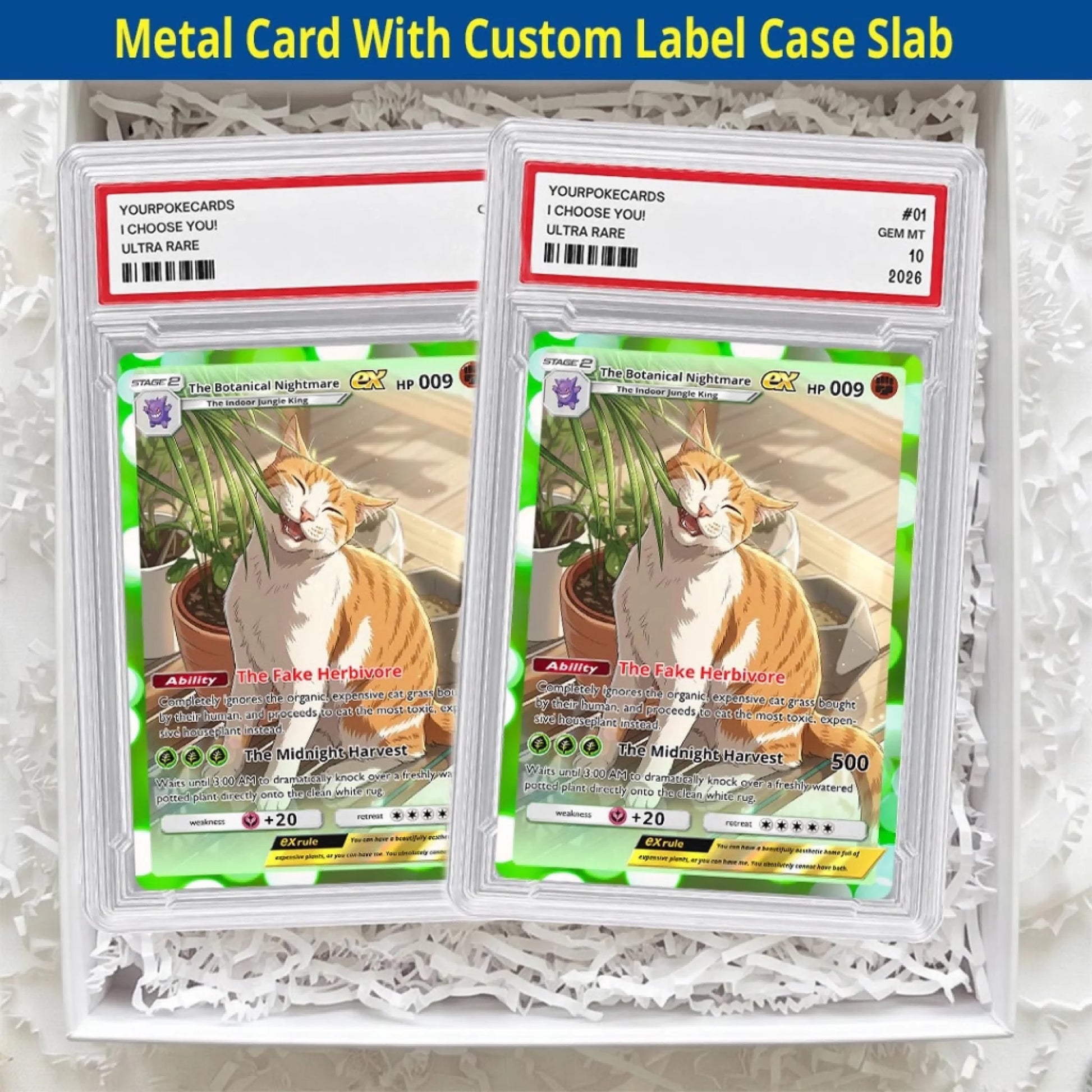 Pet Pokemon Cards Custom Funny Cat Gift, Custom Pokemon Card Pet Animated Style, Customized Pokemon Cards - YPC-66 (5)