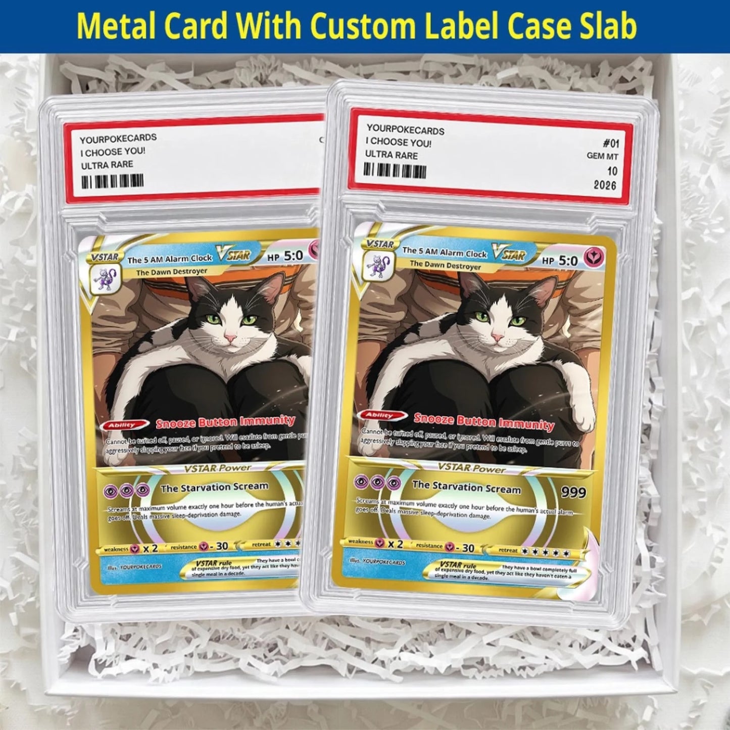 Pet Pokemon Cards Custom Funny Cat Gift, Custom Pokemon Card Pet Animated Style, Customized Pokemon Cards - YPC-68 (5)