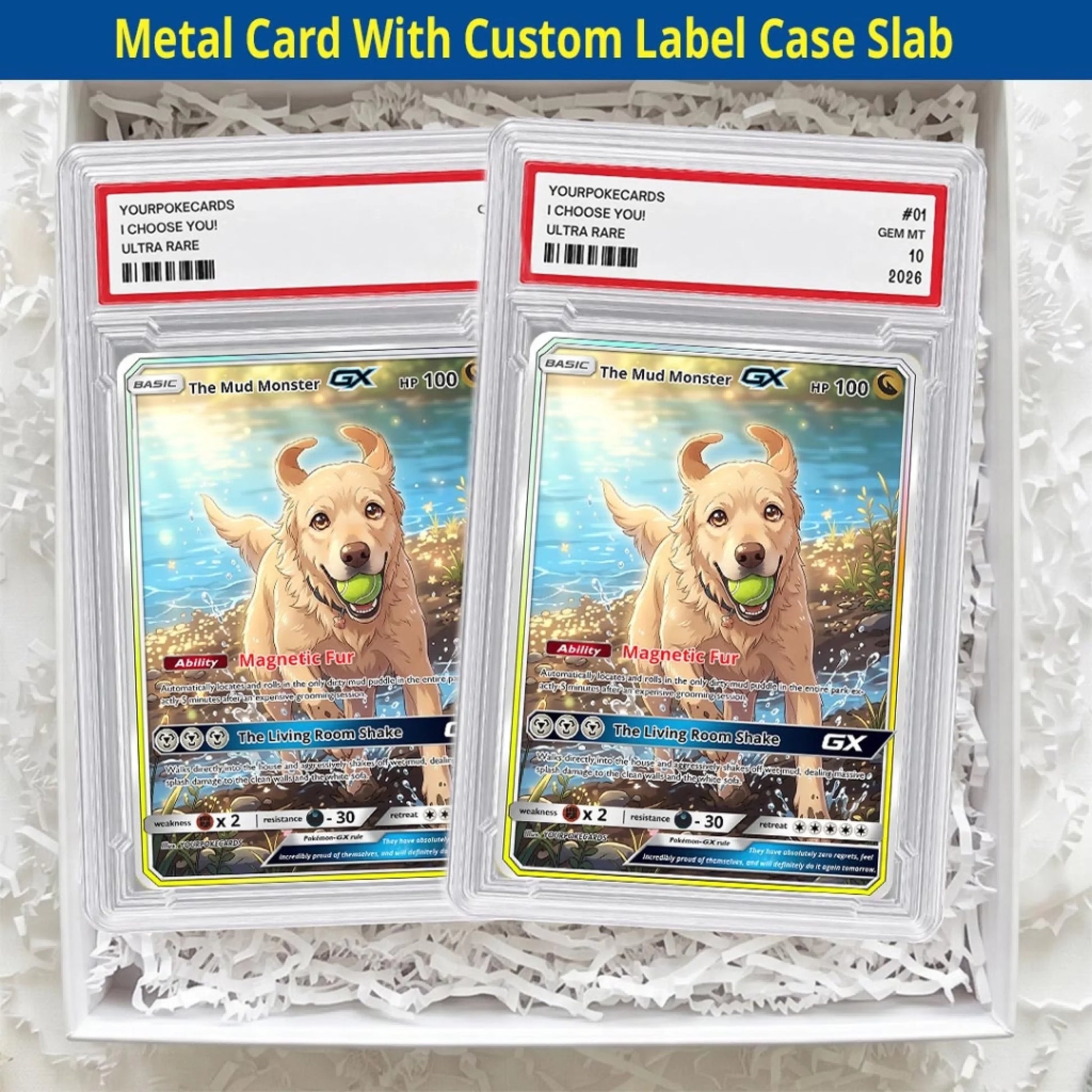 Pet Pokemon Cards Custom Funny Dirty Dog Gift, Custom Pokemon Card Pet Animated Style, Customized Pokemon Cards - YPC-69 (5)