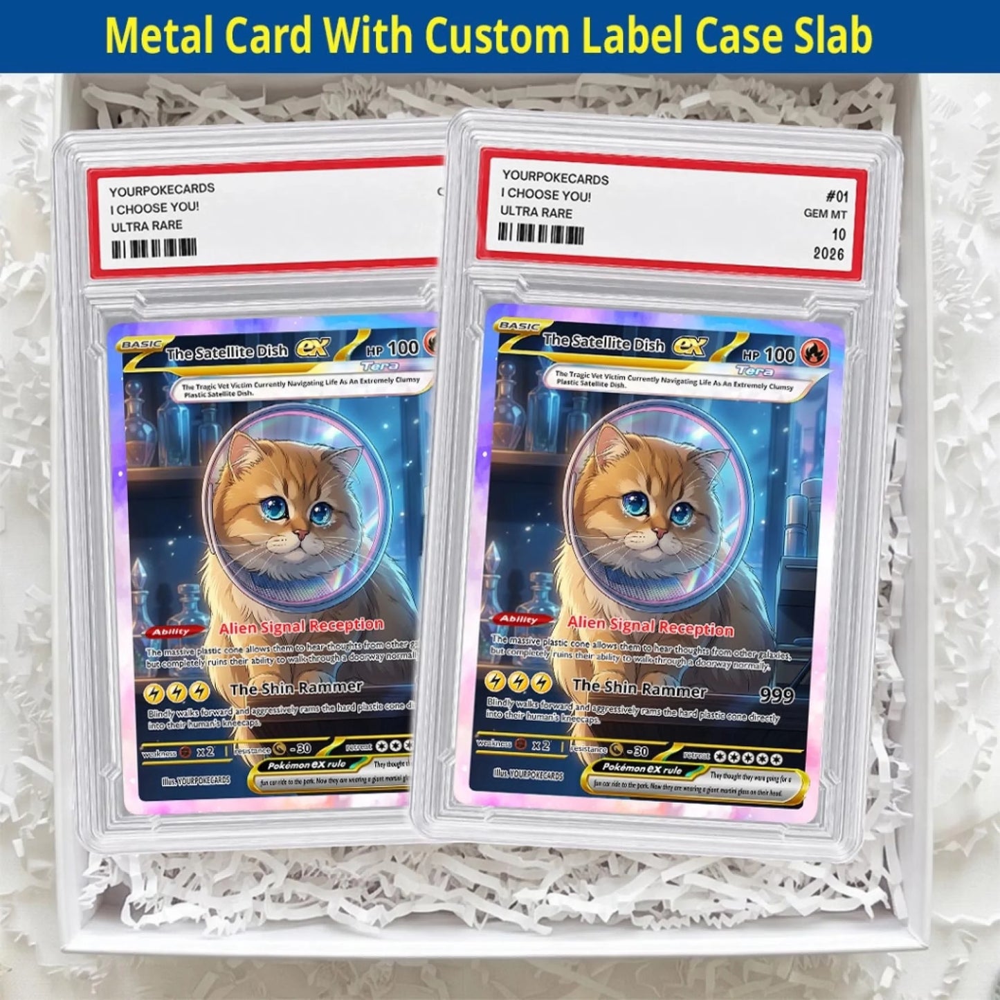 Pet Pokemon Cards Custom Cone of Shame Gift, Custom Pokemon Card Pet Animated Style, Customized Pokemon Cards - YPC-70 (5)