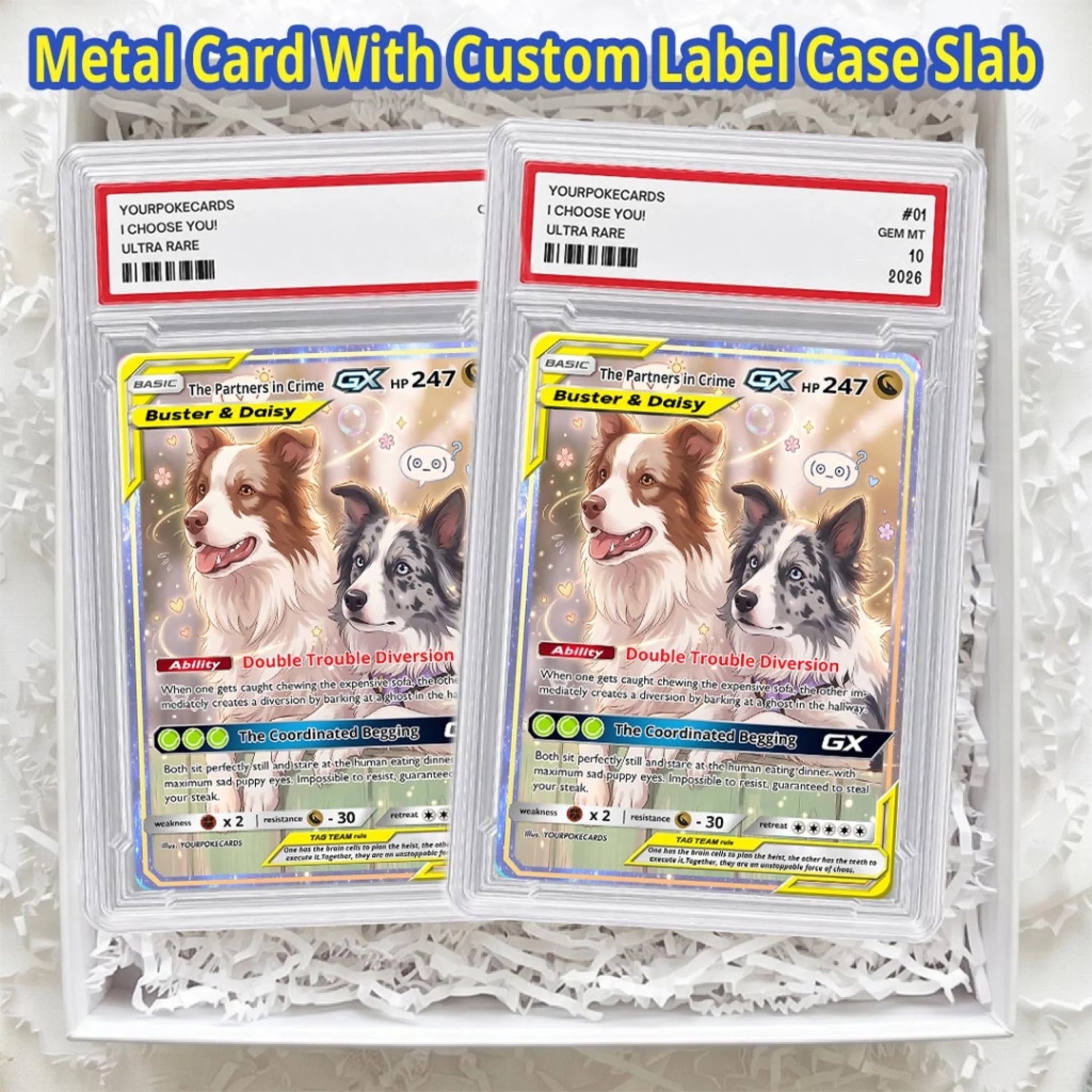 Pet Pokemon Cards Custom Funny Two Dogs Gift, Custom Pokemon Card Pet Animated Style, Customized Pokemon Cards - YPC-71 (5)