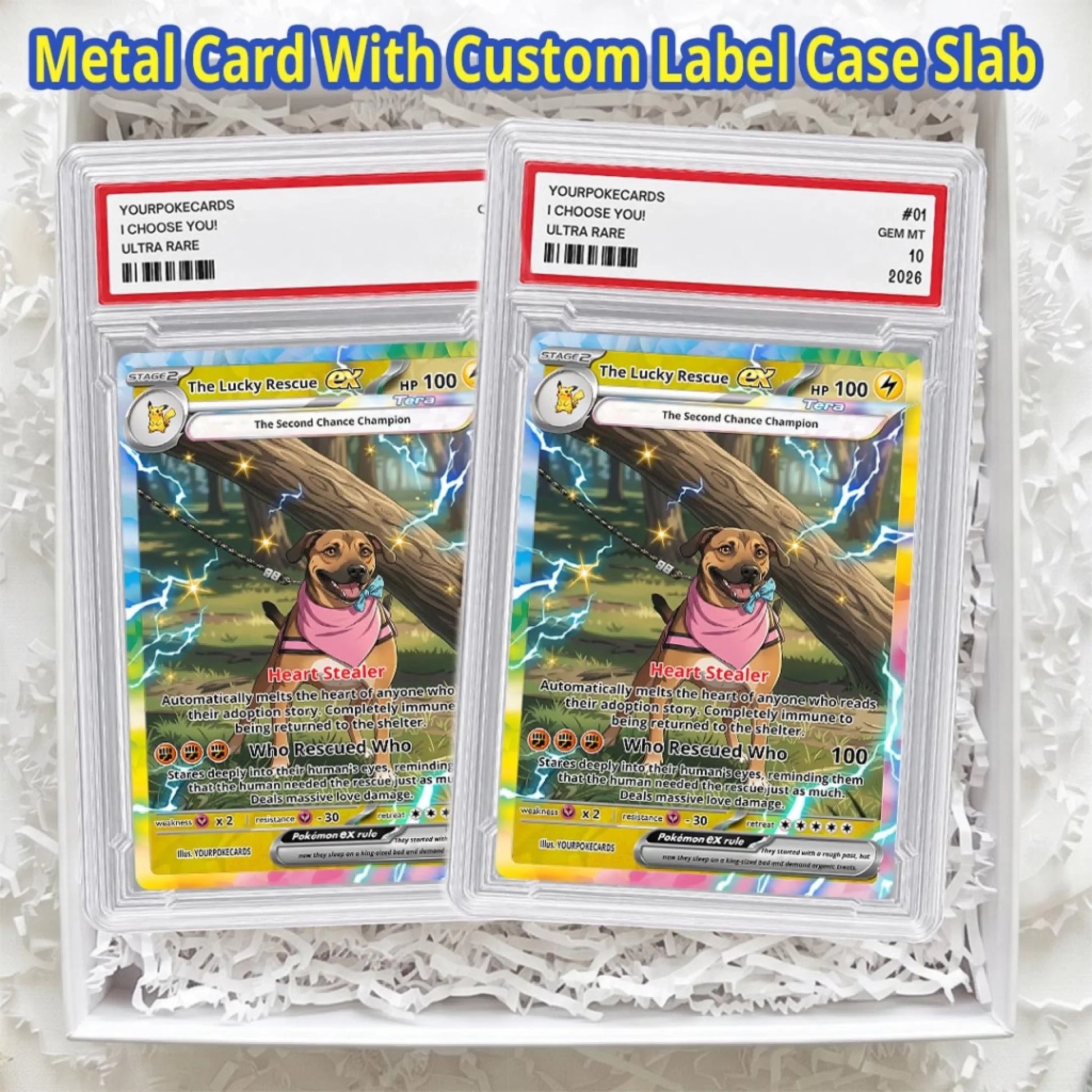 Custom Pokemon Cards Rescue Pet Gift, Personalized Pokemon Card Custom Animated Style, Customizable Pokemon Cards - YPC-56 (5)